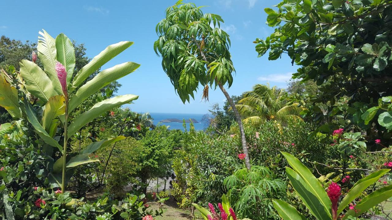 Vacances Bien Etre Guadeloupe ブイヤント エクステリア 写真