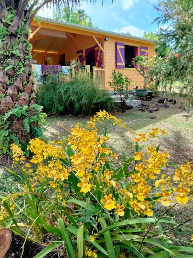 Vacances Bien Etre Guadeloupe ブイヤント エクステリア 写真