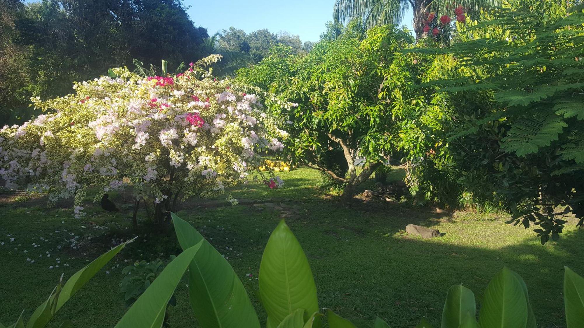 Vacances Bien Etre Guadeloupe ブイヤント エクステリア 写真