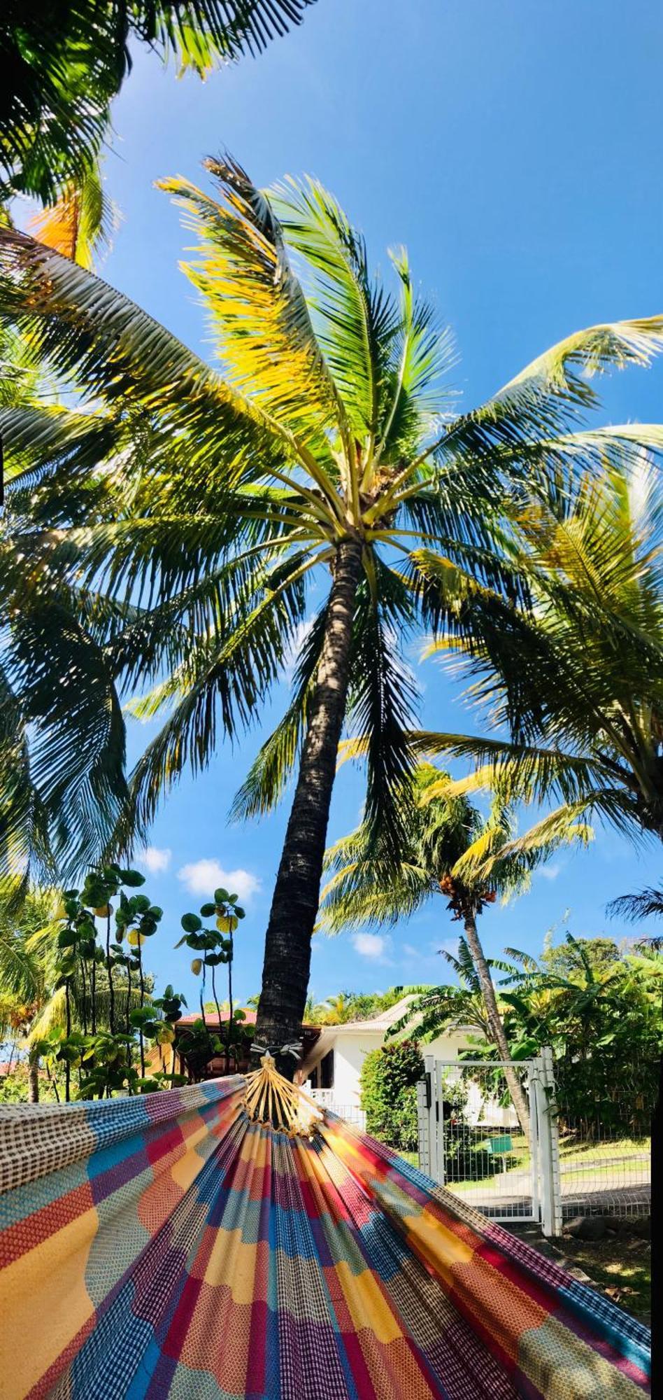 Vacances Bien Etre Guadeloupe ブイヤント エクステリア 写真
